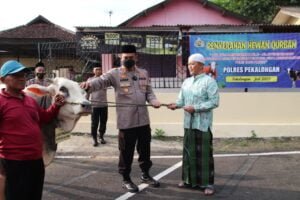 Kapolres Pekalongan Serahkan Hewan Qurban kepada Takmir Masjid dan Pondok Pesantren