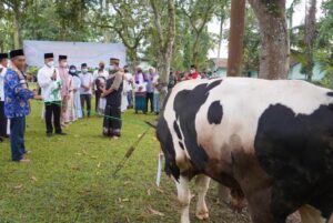 Idul Adha, Danrem 071/Wijayakusuma Serahkan Hewan Qurban