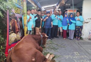 Relawan Erick Thohir Sembelih 2 Sapi Limosin Seberat 1,6 Ton di Pandegiling Surabaya