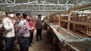 Antisipasi PMK, Petugas Lakukan Pemantauan dan Pendataan Kesehatan Hewan Ternak