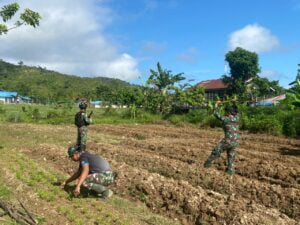 Demi Kesejahteraan Masyarakat Di Papua, Satgas Pamtas Yonif Raider 142/KJ Buka Lahan Tidur