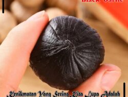 Super Black Garlis Jaga Kebugaran Tubuh