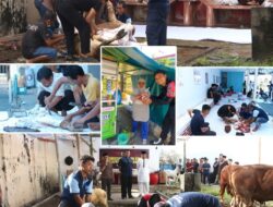 Rayakan Idul Adha 1444 H Lapas Kelas 1 Madiun Sembelih 3 Ekor Sapi dan 17 Ekor Kambing