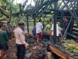Nyalakan Api Untuk Usir Nyamuk, Kandang Sapi Hangus Terbakar
