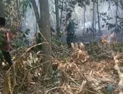 Dandema Brigif Mekanis 14/MY Terjun Langsung Padamkan Api di Desa Parungsari