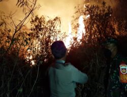 Polsek Srumbung dan Petugas Gabungan Berhasil Padamkan Kobaran Api di Kawasan TNGM