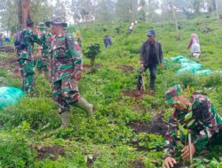 Danramil 1112/Samarang Kodim 0611/Garut Sebut Penanaman Pohon Hari Ini Untuk Ketersediaan Oksigen Masa Depan