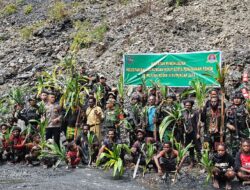 Upaya Mitigasi Longsor, Babinsa Bersama Warga Tanam Buah Merah