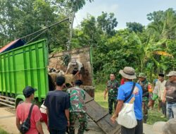 Jadikan Wilayah Swasembada Daging, KASAD Salurkan Bantuan Hewan Ternak Kepada Masyarakat Desa Ranca Pinang