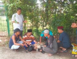 JMSI Kota Tangerang Sembelih Hewan Kurban Dan Bagikan Daging ke Warga