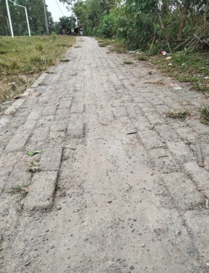 Gejolak Proyek Pemasangan Paving Block Asjad di Desa Bojot Masih Bergulir