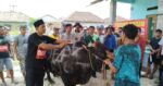 GREAT Institute Menyembelih Kurban di Tanah Terluka: Simbol Perlawanan Warga Pesisir Banten
