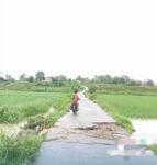 Drainase Cicalung-Cijampang Rusak Parah, Kemana Peran Pemerintah Setempat