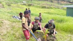 Menebar Harapan Untuk Masa Depan Hijau Papua, Satgas TNI Tanam Pohon Kelapa bersama Warga Wuloni