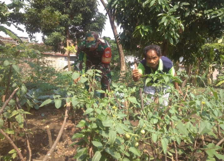 Babinsa Serengan Sambangi Lahan Ketahanan Pangan, Dorong Pemanfaatan Optimal Kesejahteraan Warga