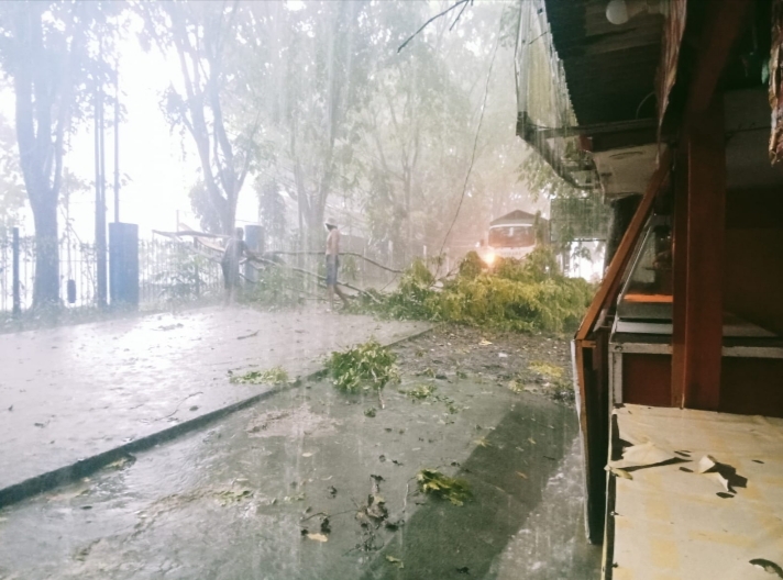 Pohon Tumbang Padamkan Warung di Rangkasbitung, PLN diharapkan Segera Perbaiki
